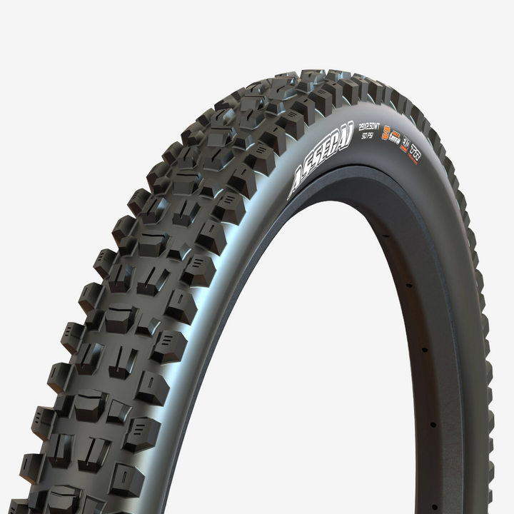 Maxxis Assegai - EXO+ 29er Tire