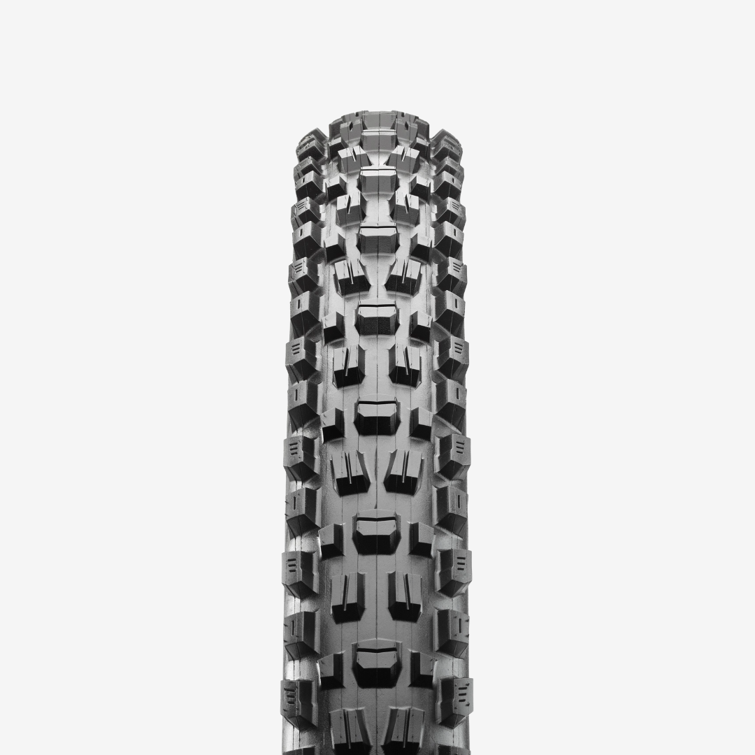 Maxxis Assegai - EXO+ 29er Tire