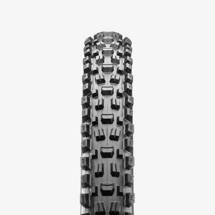 Maxxis Assegai - EXO+ 29er Tire